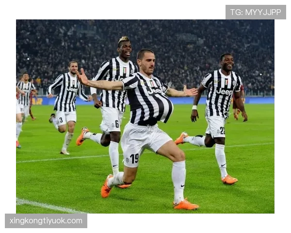 博努奇与基耶利尼在意甲防守体系中的组织角色分化趋势分析